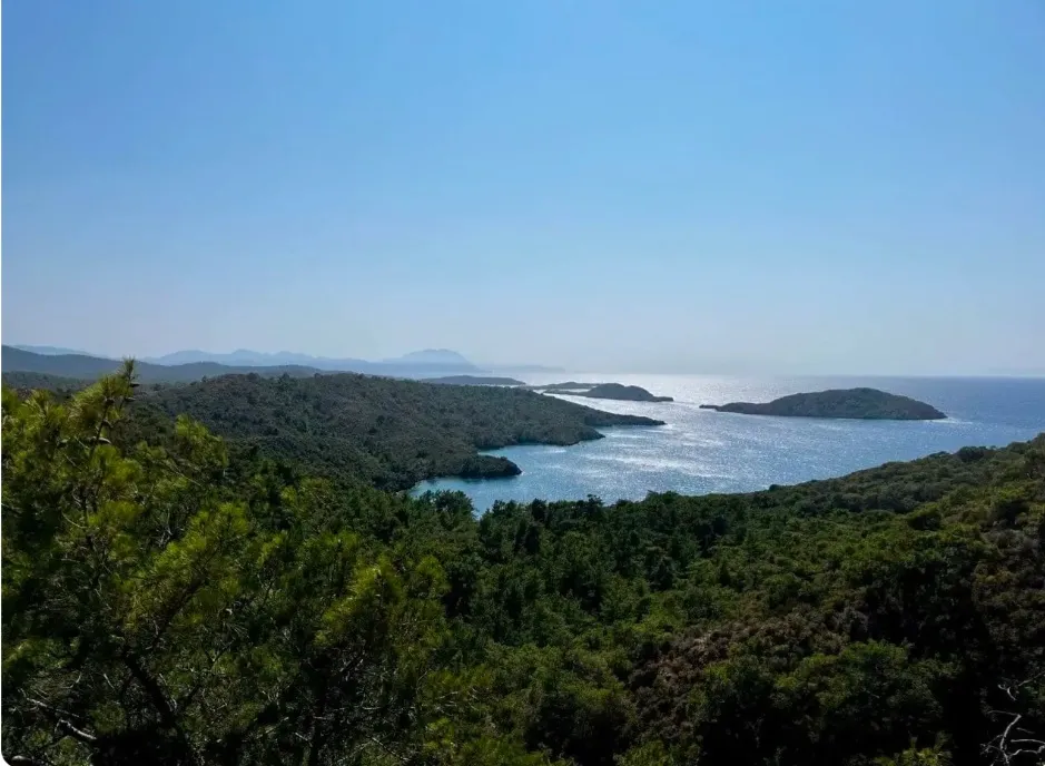Muğla genelinde Fethiye dahil toplam 45 bin 819 metrekarelik orman alanı Cumhurbaşkanlığı kararıyla sınır dışına çıkarıldı