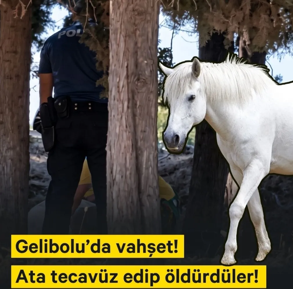 Failin yakalanması için imza kampanyası!