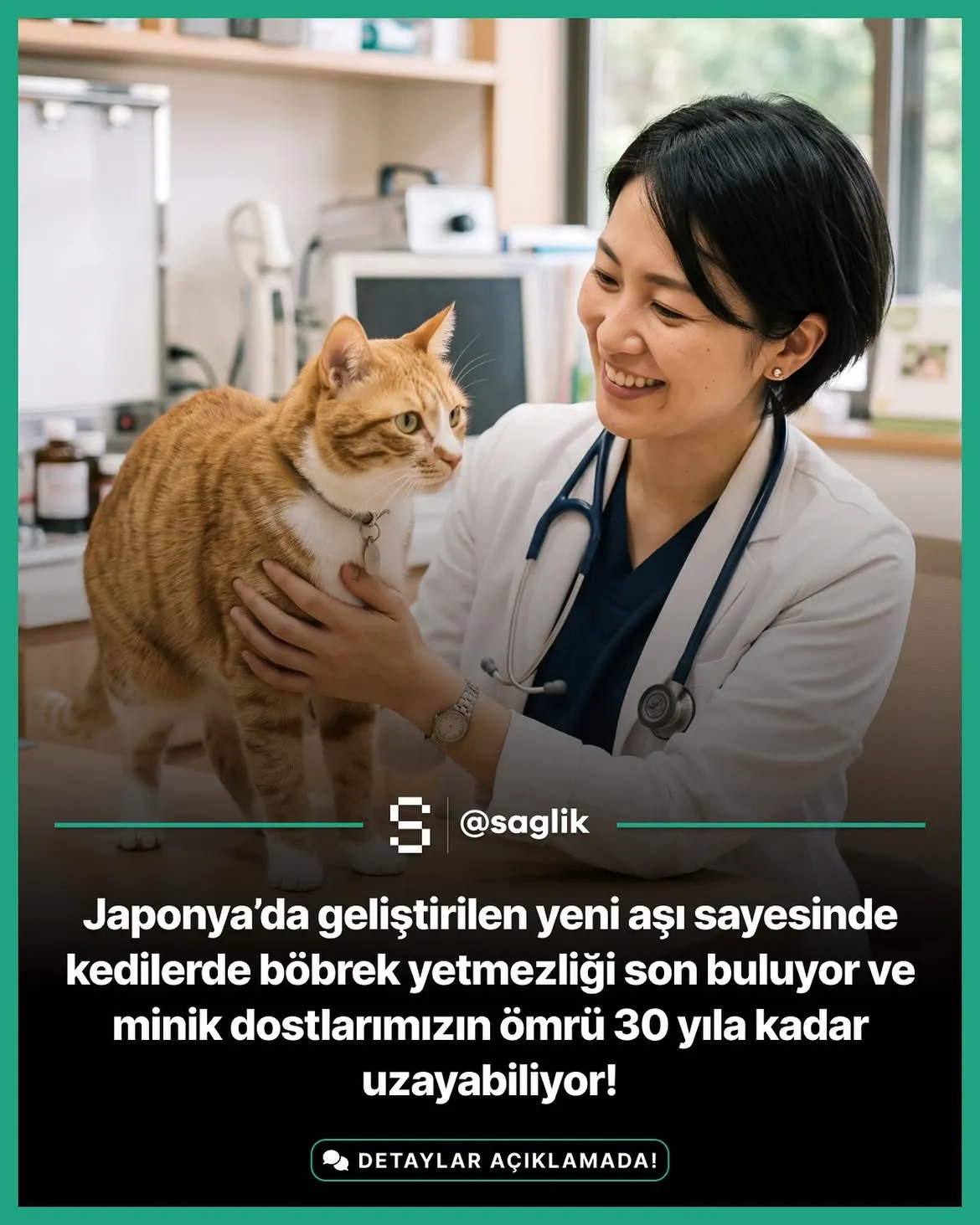 Kediler için tarihi bir dönüm noktası!.Onlar    yaşatmak icin çabalarken burdakiler yoketme derdinde