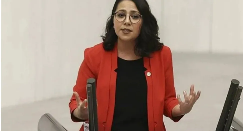 Sera Kadıgil kimdir, ne dedi? Seda Kadıgil hakkında neden soruşturma açıldı? Seda Kadıgil aslen nereli?