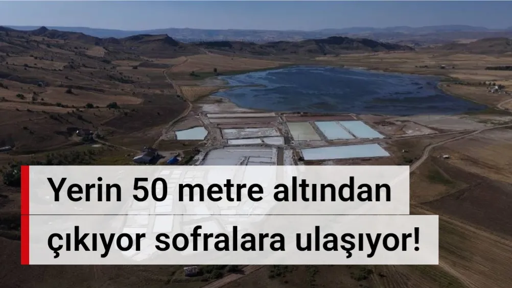 Yerin 50 metre altından çıkıyor sofralara ulaşıyor! Sivas’ta hasada sayılı gün