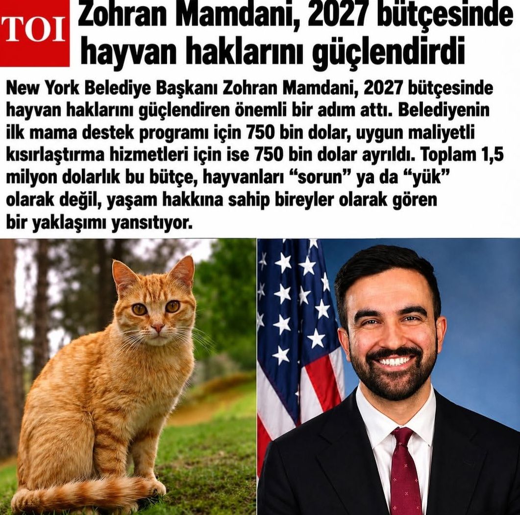Zohran Mamdani, 2027 bütçesinde hayvan haklarını güçlendirdi
