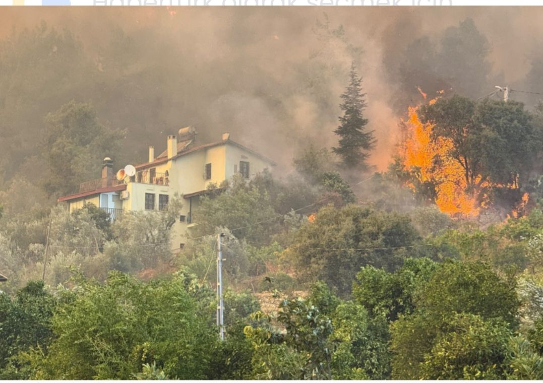 Fethiye'de orman yangını